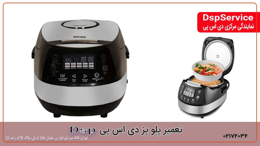تعمیر پلوپز دی اس پی